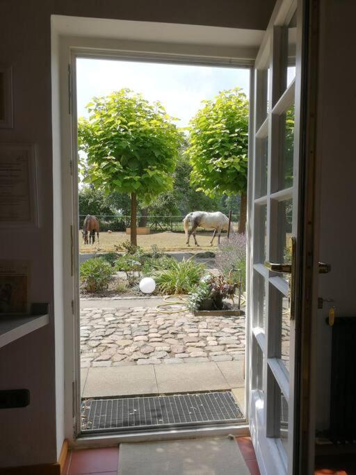 Xanadi Heilehaus Kleine Auszeit Kururlaub Apartment Bruchhausen-Vilsen Exterior photo